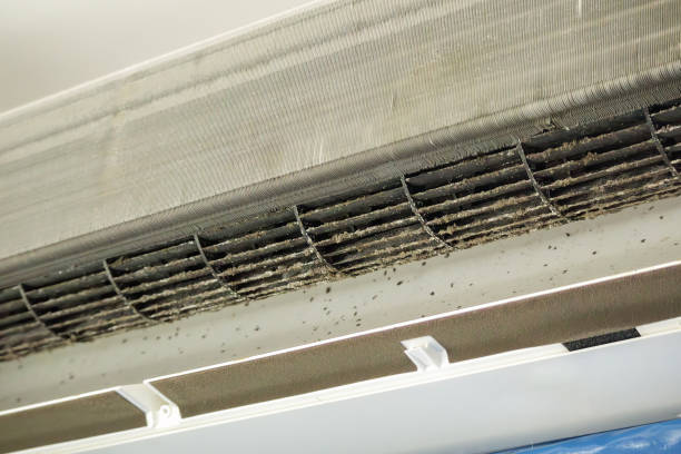 Best Air Duct Cleaning Near Me  in Pageland, SC